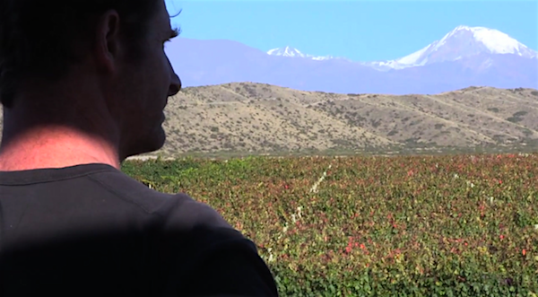 CUATRO-MANOS-ROYER-1